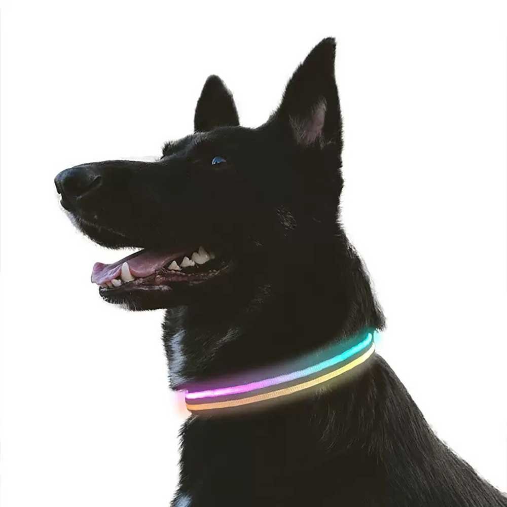 Custom and private label dog collars