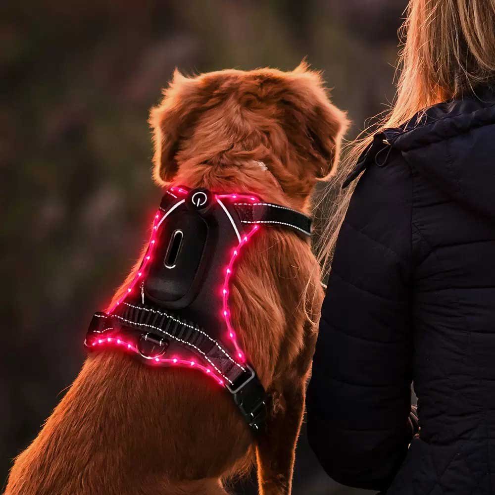 Private label dog harnesses