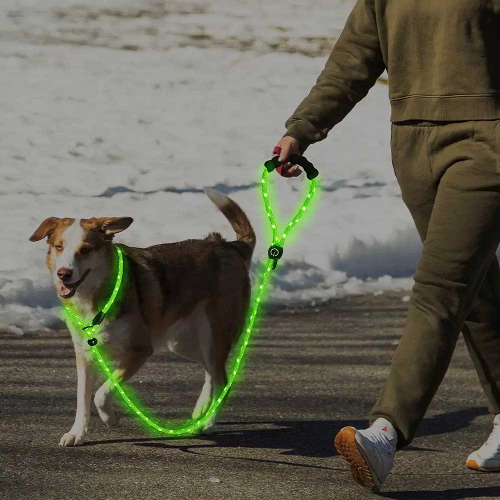 Custom dog leashes for wholesale buyers