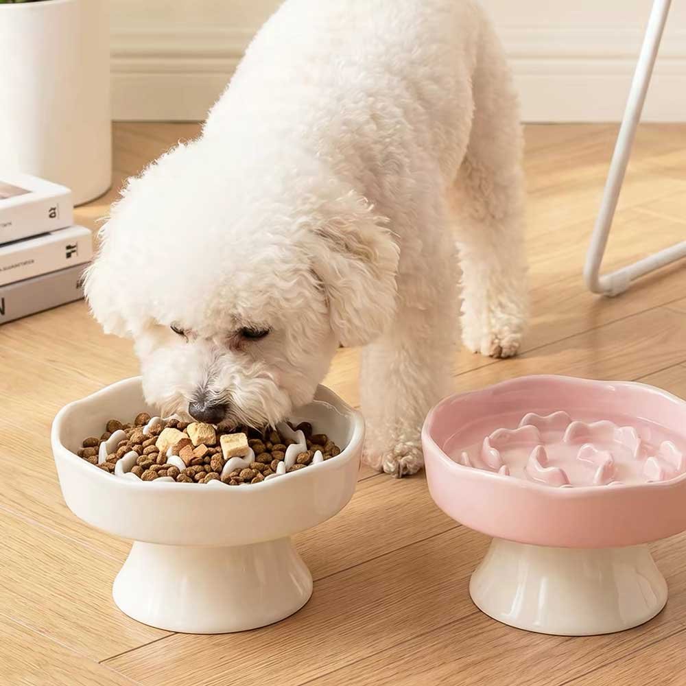 OEM pet feeders and water fountains